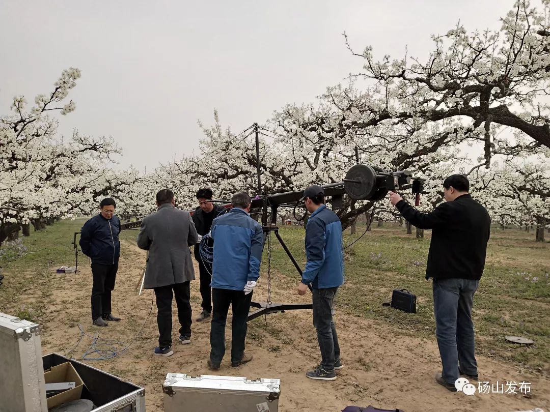 碭山頭條新聞,高科技產品引領未來生活,創新科技帶來前所未有的體驗