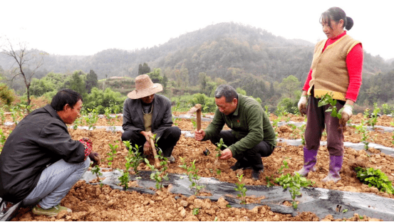 旺蒼縣黃洋鎮(zhèn)最新項(xiàng)目,三大驅(qū)動(dòng)力助推地方發(fā)展
