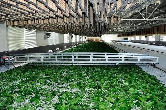 澳門(mén)最精準(zhǔn)正最精準(zhǔn)龍門(mén)蠶,現(xiàn)況評(píng)判解釋說(shuō)法_活動(dòng)版75.708