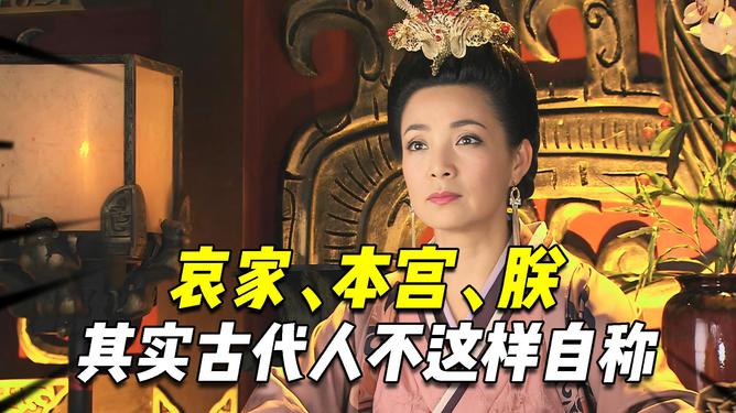 貓妃到朕碗里最新更新,自信與成就感的奇妙旅程學習之旅