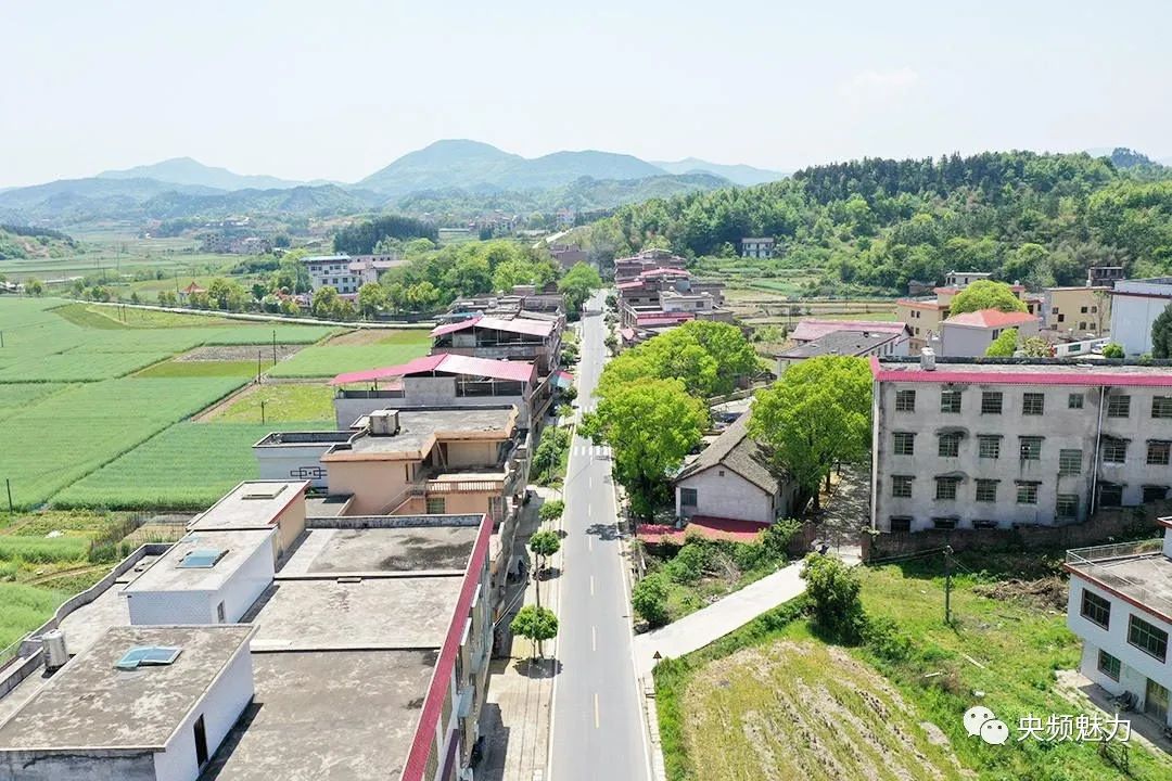 衡陽縣曲蘭鎮(zhèn)最新照片欣賞,獲取與欣賞步驟指南(適用于初學者與進階用戶)