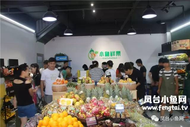 鳳臺縣小魚網最新招聘信息及觀點論述揭秘