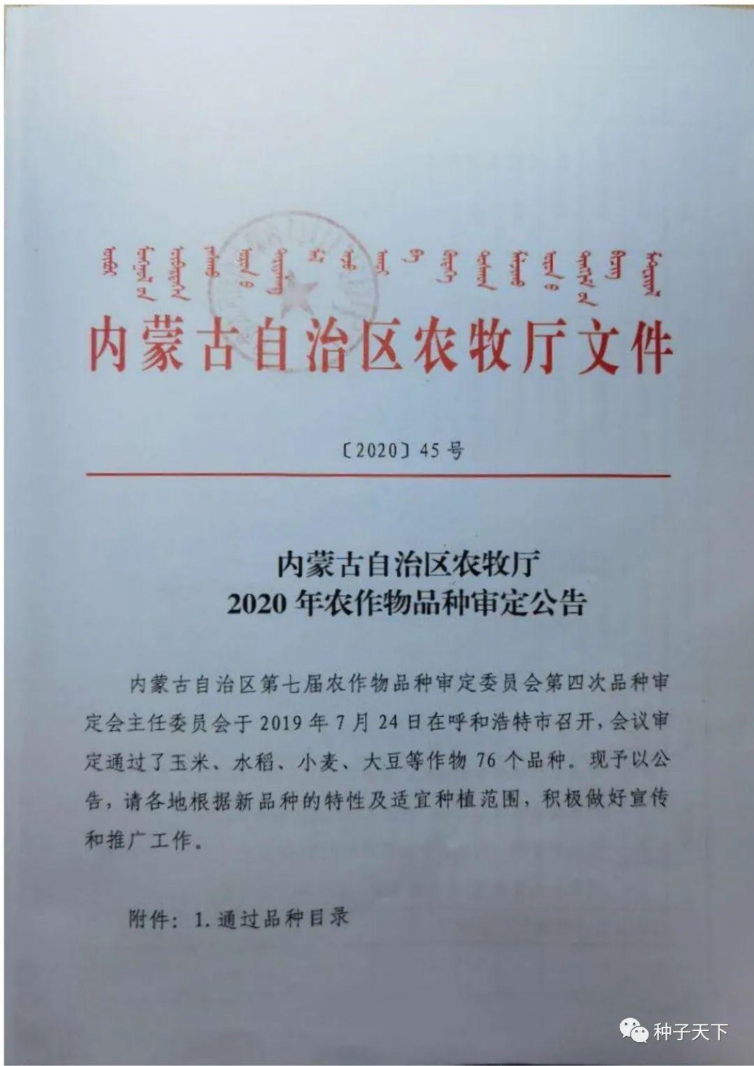 內(nèi)蒙古緊急最新通告,內(nèi)蒙古緊急最新通告背后的溫馨故事