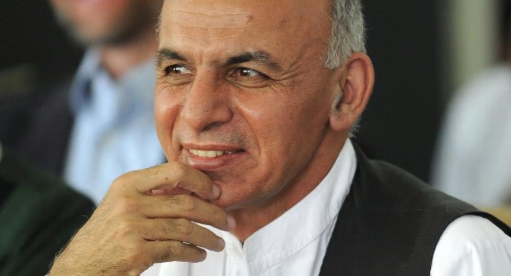 美總統選舉最新結果及其背后的感人故事