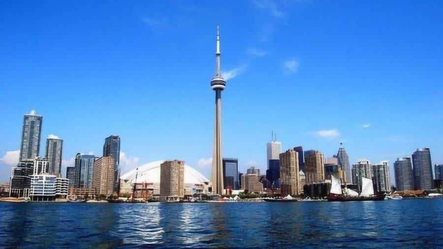 中國與加拿大的暖心日常,友情與愛的力量展現(xiàn)時刻