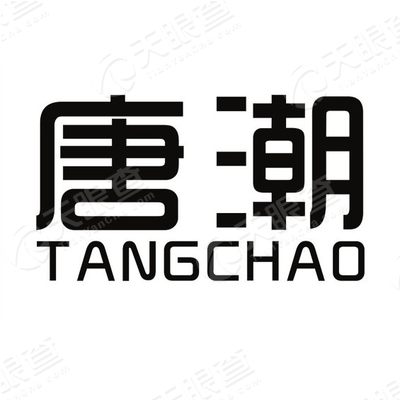 潮唐文化指南,掌握最新消息,從初學者到文化達人的進階之路