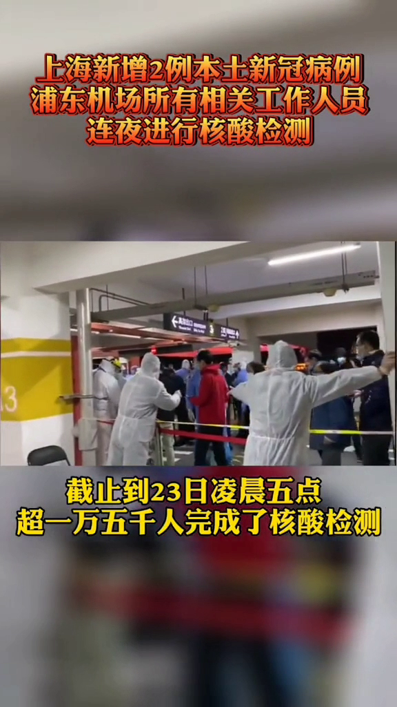 浦東機場新冠疫情應對指南,初學者與進階用戶的步驟指南