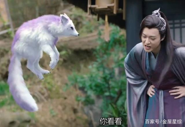 紫狐紀最新版任務指南,初學者與進階用戶的完全步驟教程