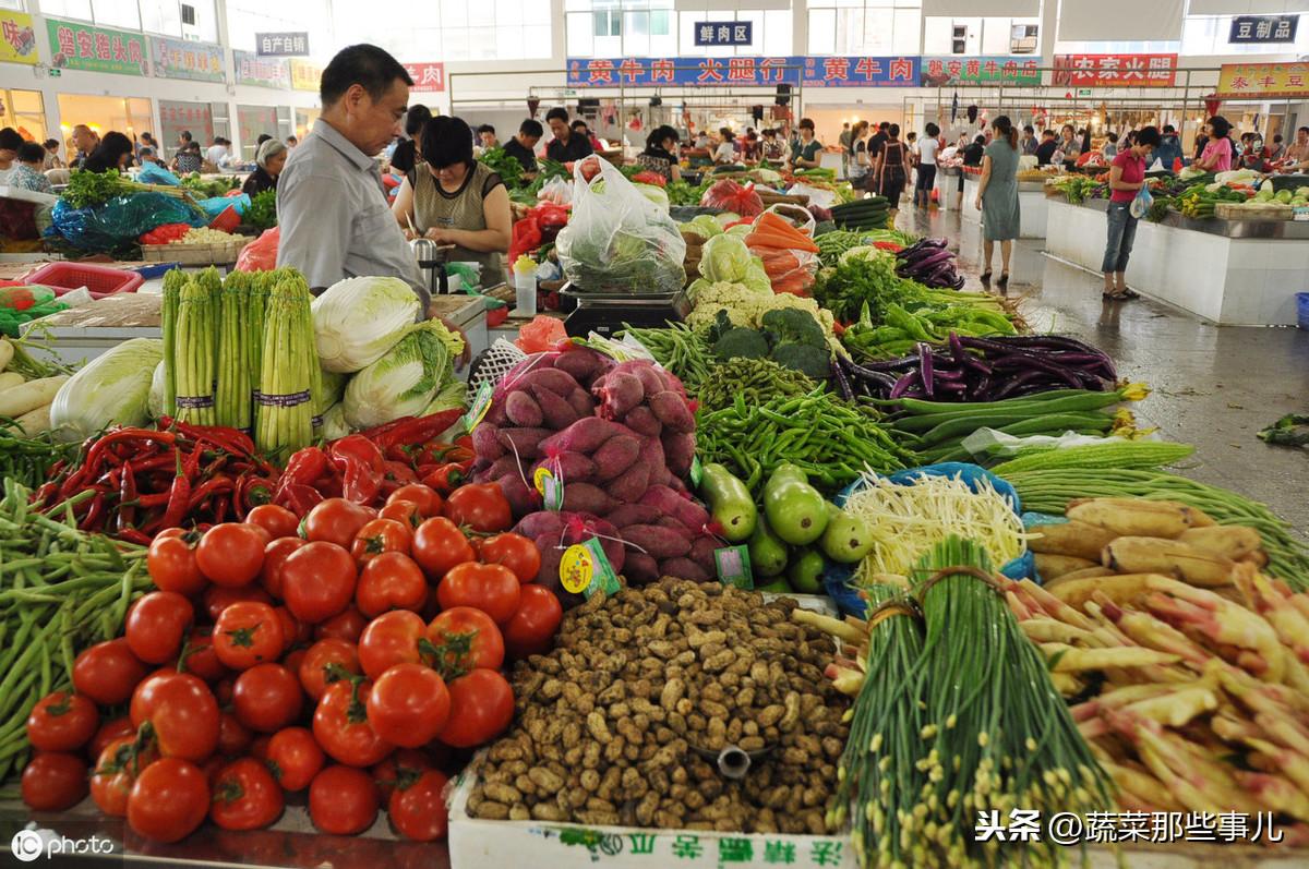 萵筍價格最新行情及市場走勢分析與預測