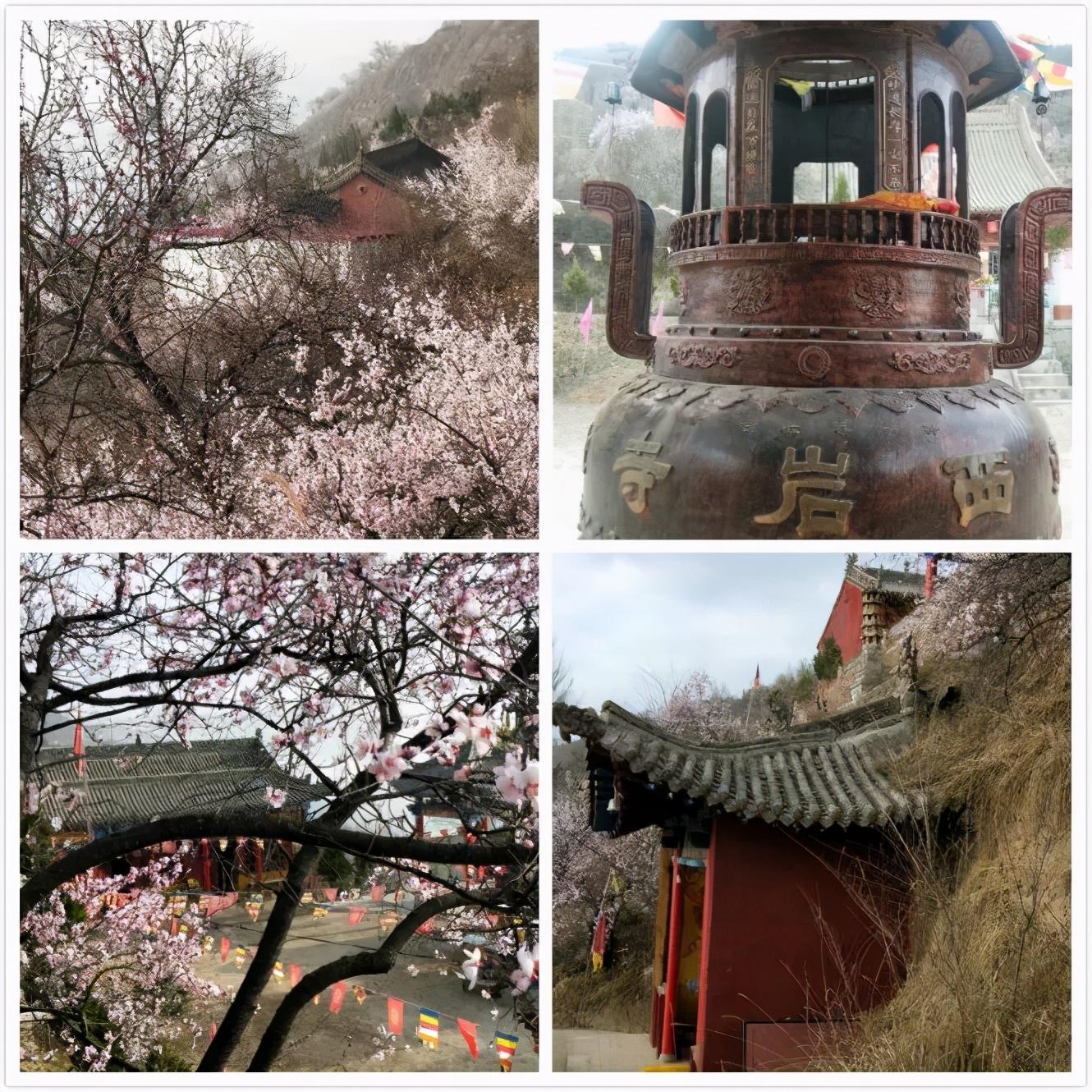 杰賦羊奶粉最新動(dòng)態(tài),品質(zhì)引領(lǐng),時(shí)代之光閃耀