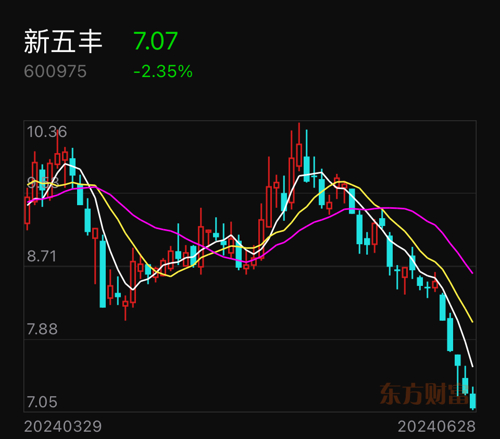 新五豐股票,投資熱點及前景展望分析