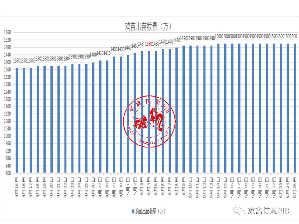 肉雞行情網,掌握最新動態,洞悉行業趨勢