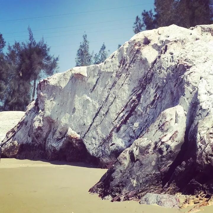 廈門最新資訊,巷弄深處的美食秘境探索