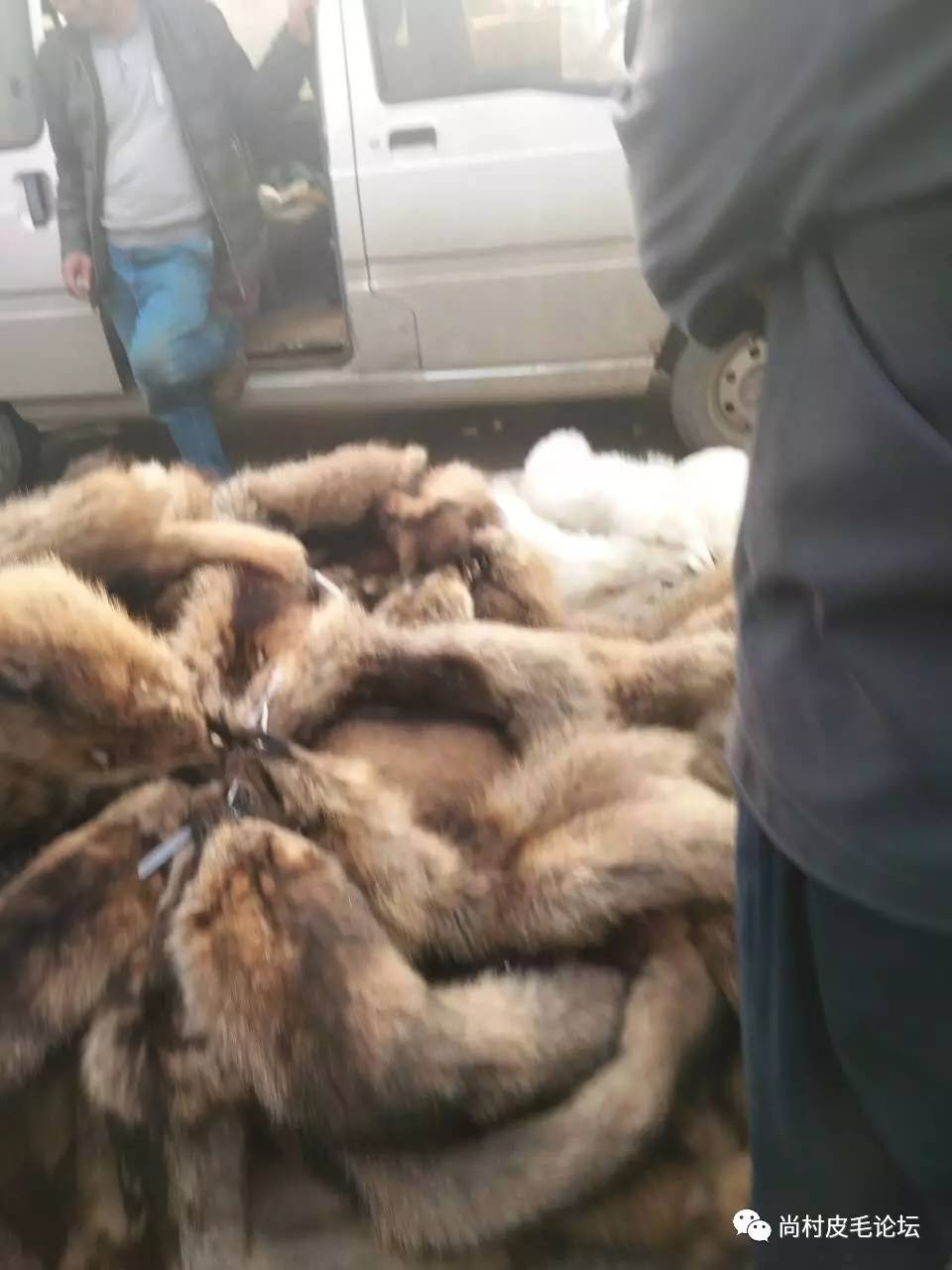 尚村水貂皮毛最新價(jià)格,與自然美景的邂逅與內(nèi)心平和寧?kù)o的追尋