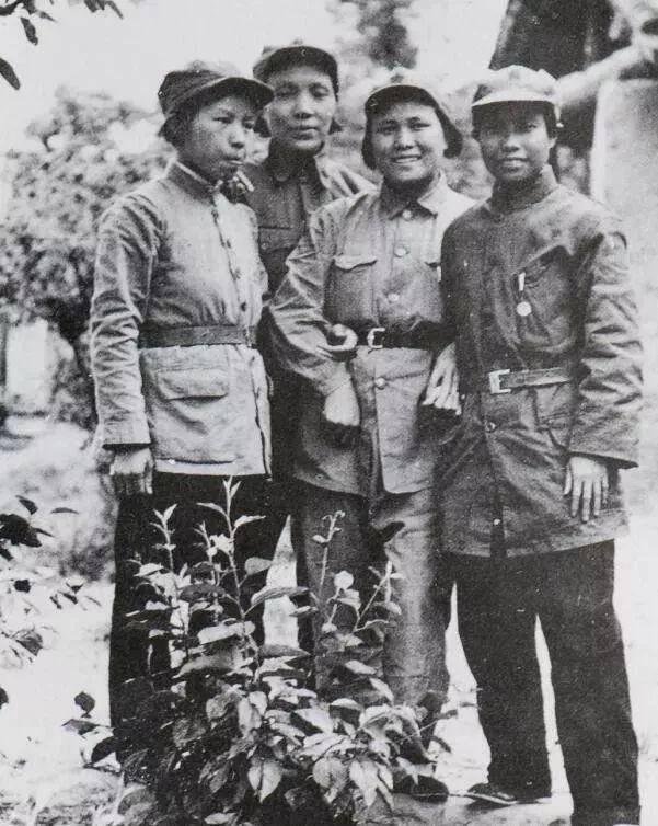 女兵最新發(fā)型規(guī)范揭秘,時(shí)尚與紀(jì)律并存的長(zhǎng)發(fā)造型標(biāo)準(zhǔn)