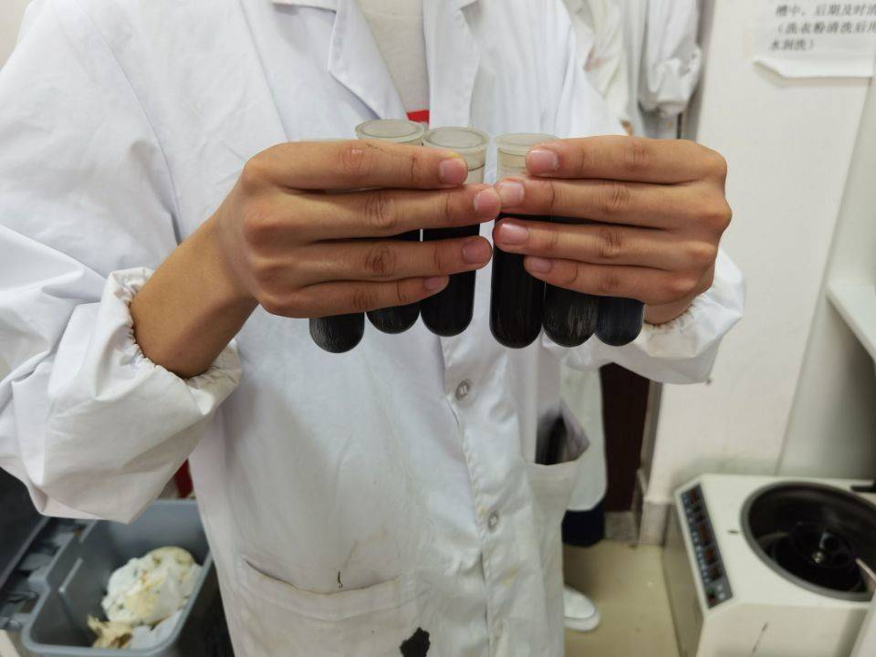 通力最新動態(tài),完成任務(wù)的詳細步驟指南與學(xué)習(xí)新技能的實用指南