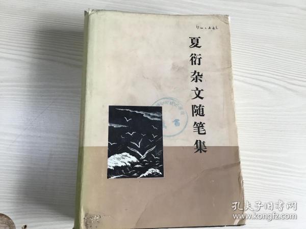 躍動知識海洋,自信與成就感的旅程,最新雜文隨筆探索