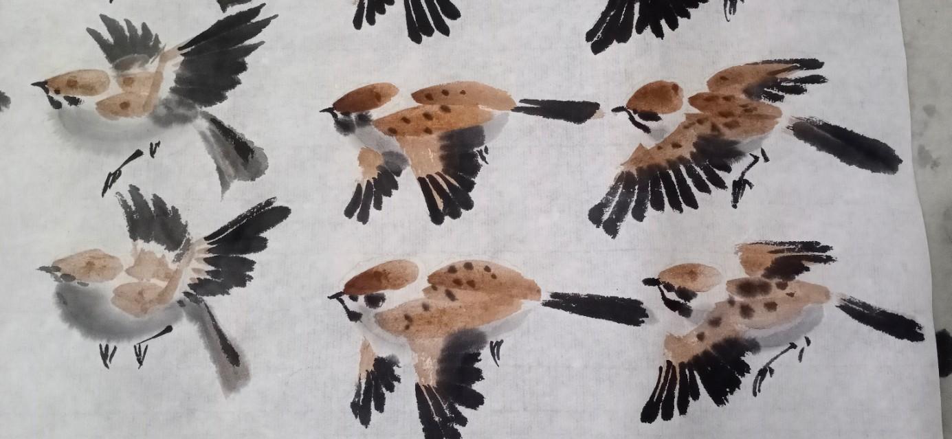 小麻雀的最新飛翔之路,力量與自我超越的喜悅