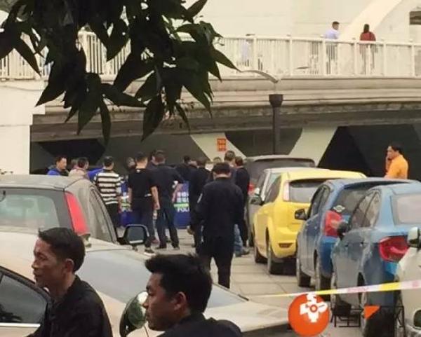 湘鄉最新殺人事件,深度分析與觀點闡述